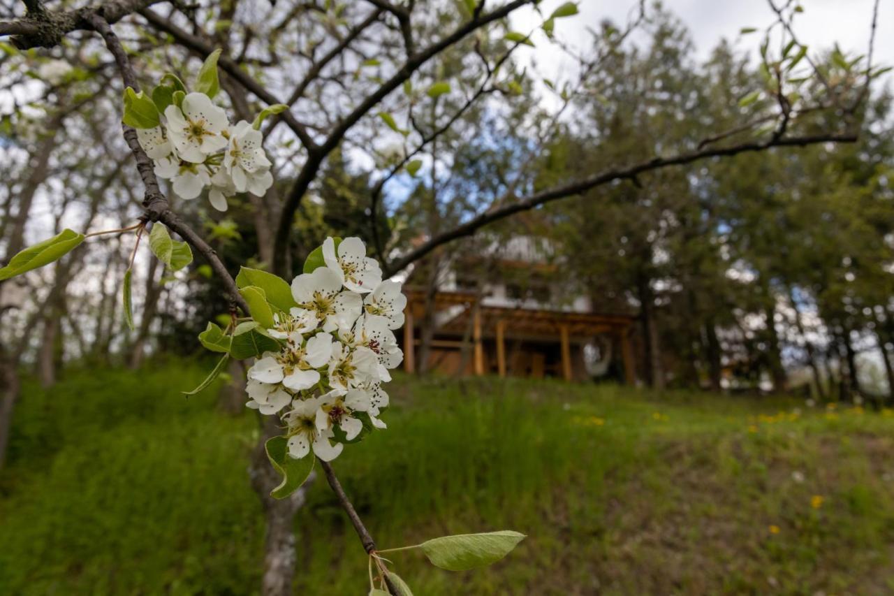 Egercottages - Csillag Cottage Exterior foto